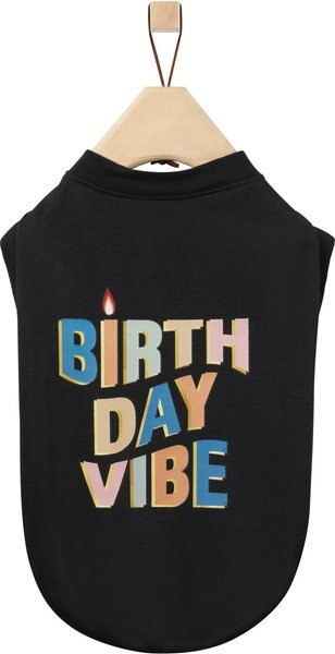 Frisco Birthday Vibe Dog and Cat T-Shirt