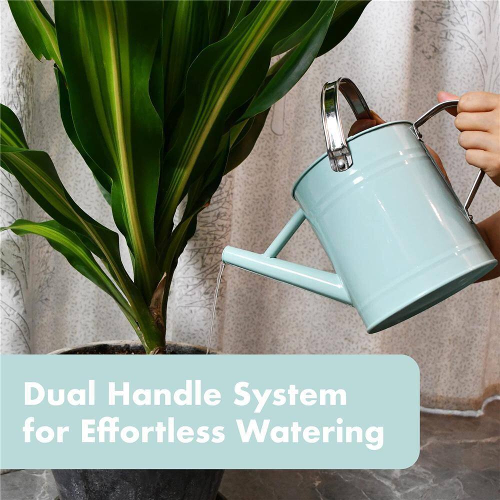 Dyiom 0.5 Gal. Teal Metal Watering Can with Removable Spout Rainwater Harvesting System B0B2WYDWXT