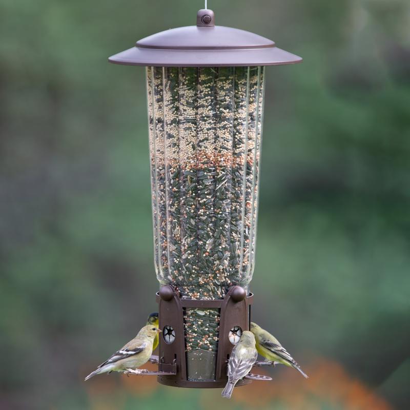 BIRD FEEDER MAX 4PRT 4LB