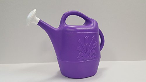 Union 63071 Tulip Plastic Watering Can， 2 gallon， Purple