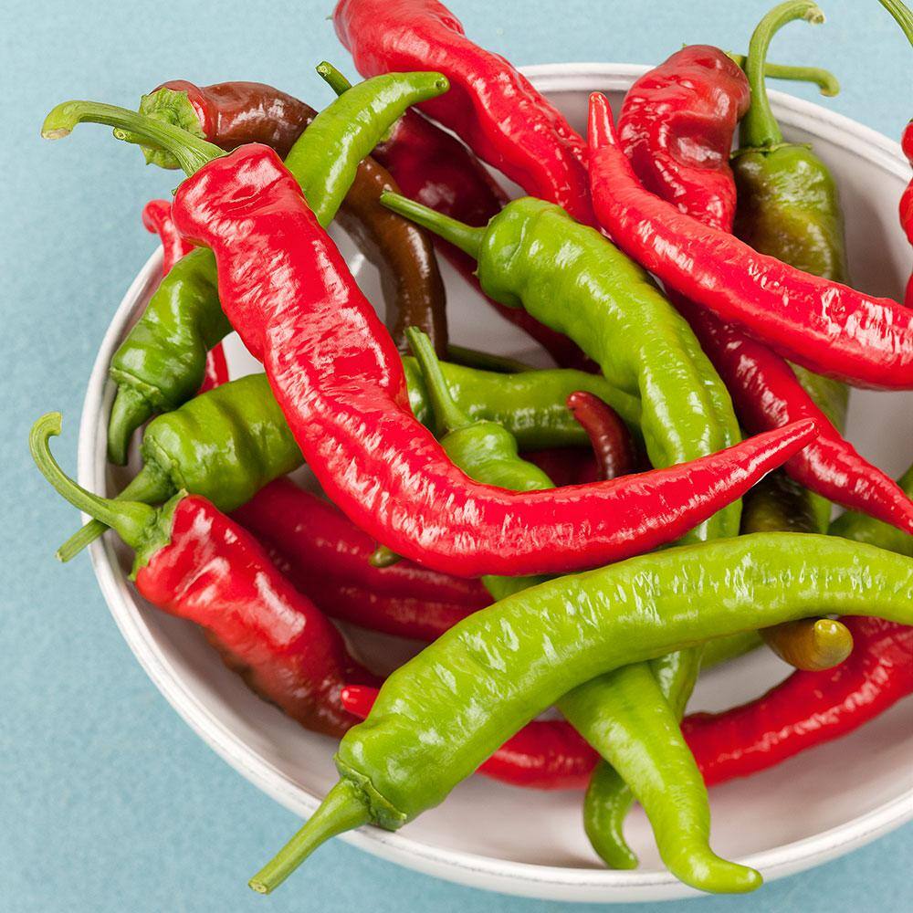 Bonnie Plants 19 oz. Cowhorn Hot Pepper Plant 2700