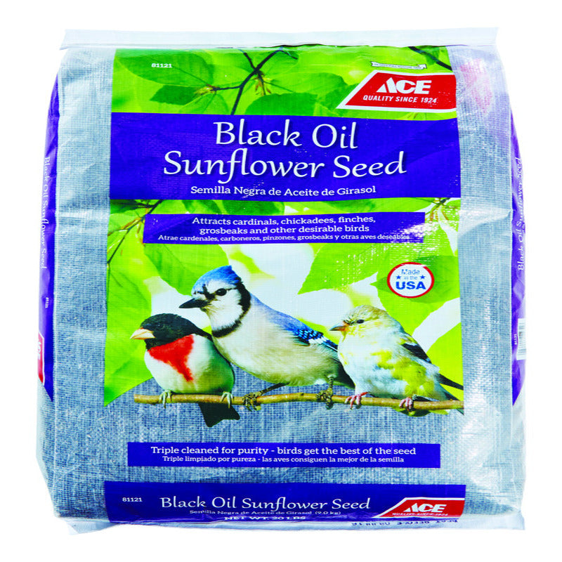 OIL SUNFLOWER BSEED 20LB