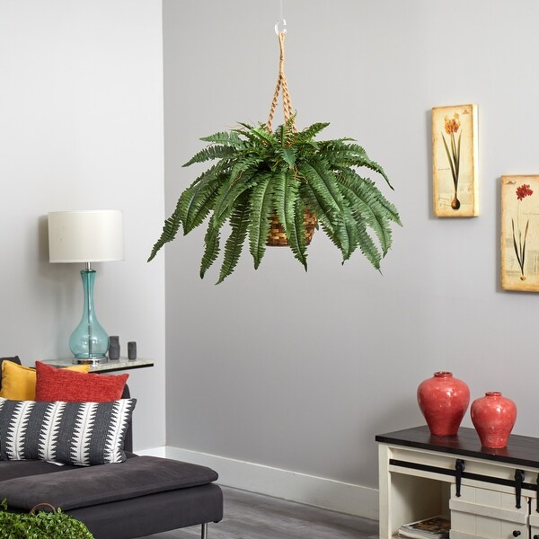 Large Boston Fern Hanging Basket