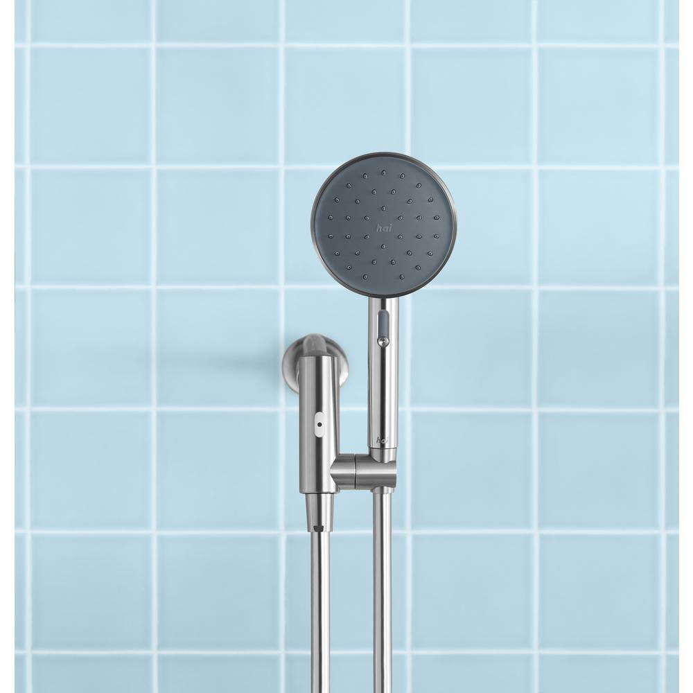 HAI Smart 2-Spray Wall Mount Handheld Shower Head 2.5 GPM in Charcoal HSBTHI2