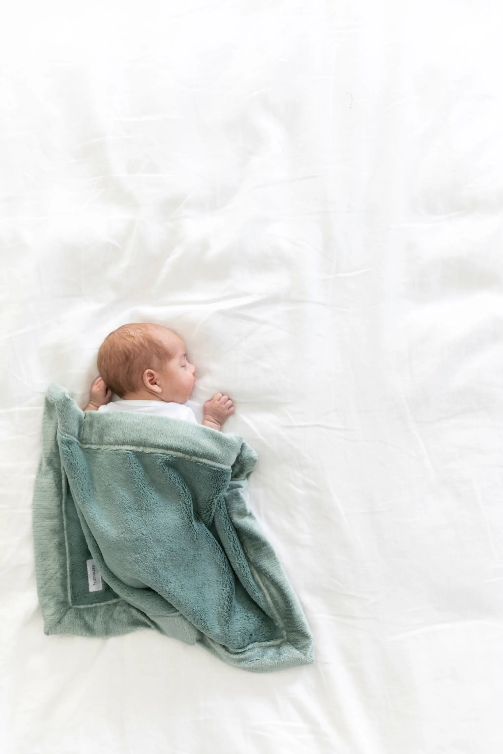 Eucalyptus Green Lush Mini Baby Blanket