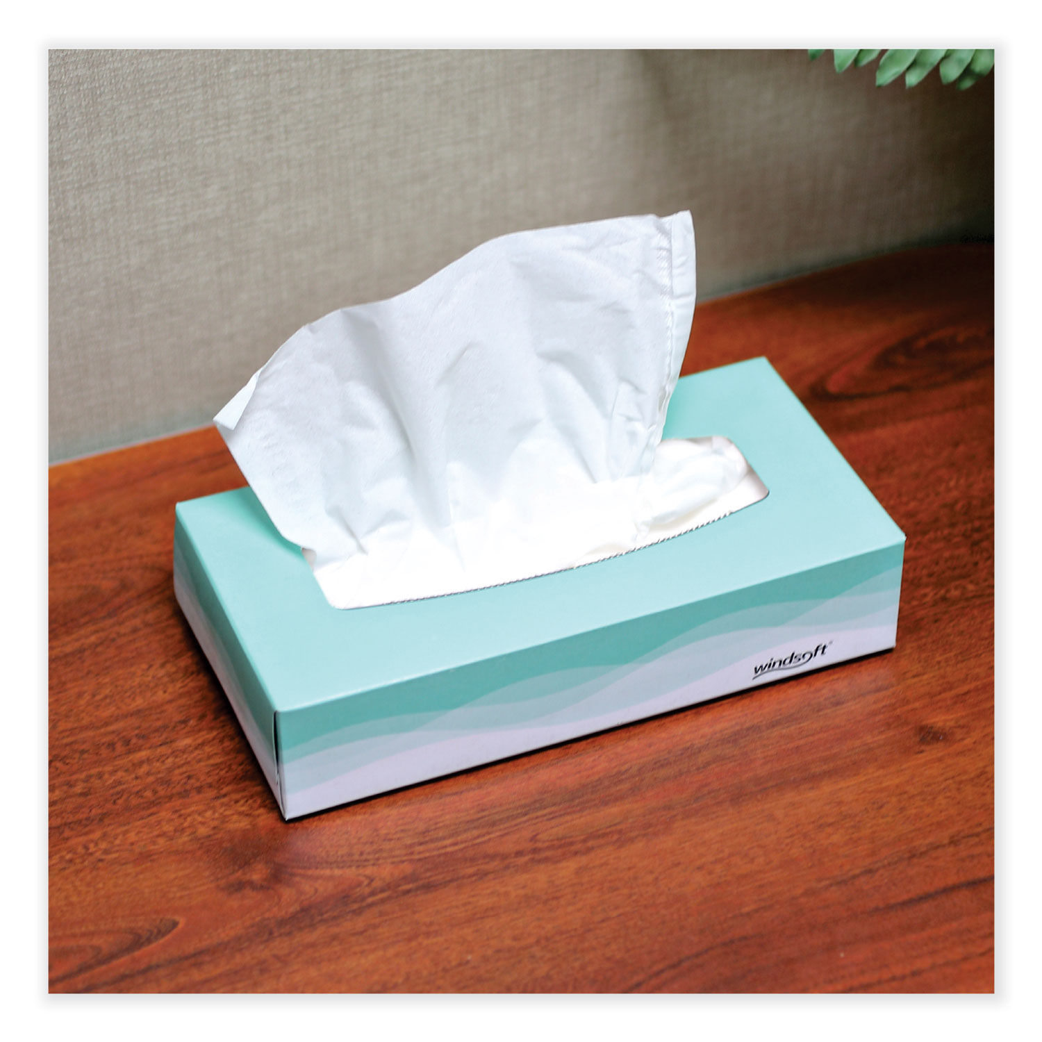 Facial Tissue by Windsoftandreg; WIN2360