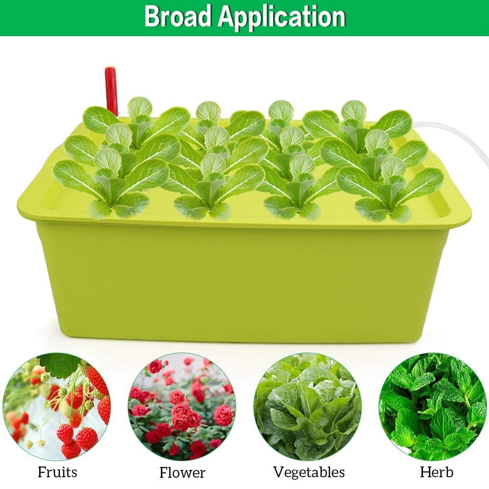 SSAWcasa Hydroponic System Growing Kit，12 Sites Bucket with Air Pump，Bubble Stone and Planting Sponges Household DWC Hydroponic System Growing Kits for Herbs，Lettuce，Vegetabls (Green)