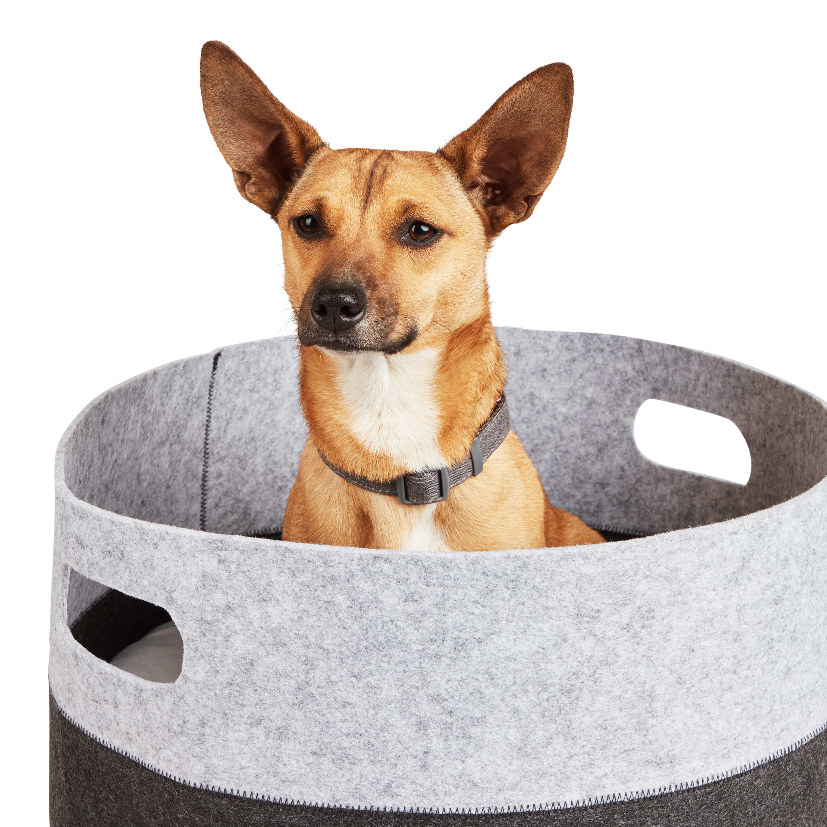 EveryYay Essentials Felt Dog Basket， 20