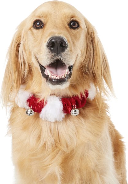 Frisco Jingle Bells Dog and Cat Holiday Collar with Bells， 1 count