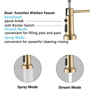 PROOX Single-Handle Deck Mount Spring Pull-Down Sprayer Kitchen Faucet with Deckplate in Brushed Gold PR21AARX289BG