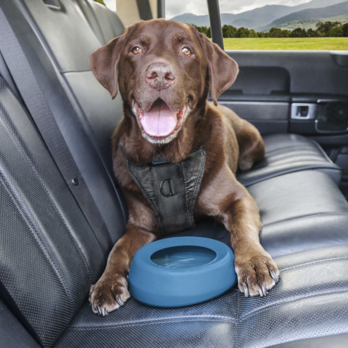 Kurgo Splash Free Wander Dog Water Bowl