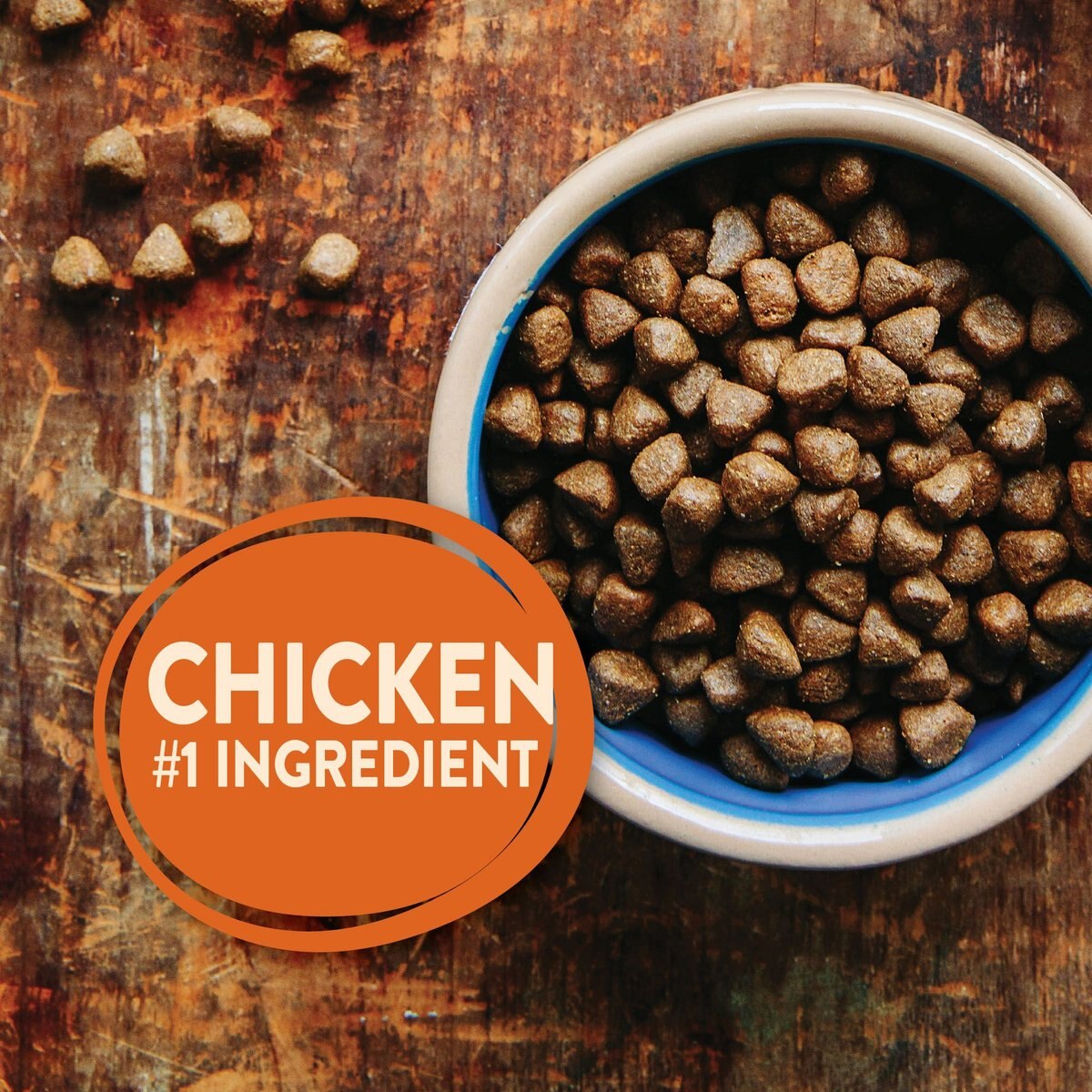 Wellness CORE Grain-Free Large Breed Chicken and Turkey Recipe Dry Dog Food