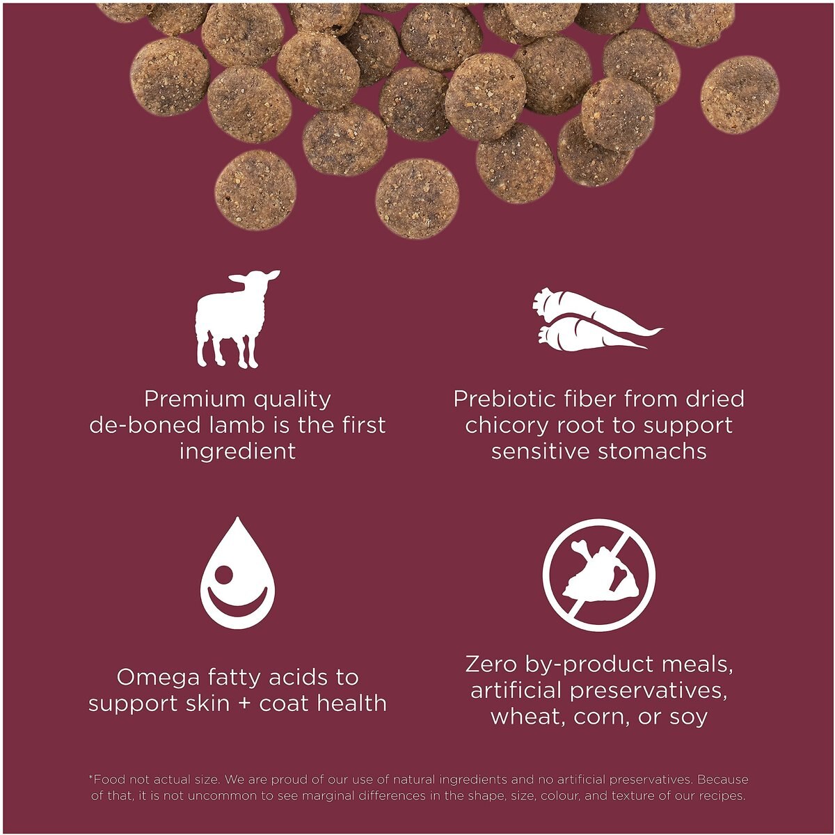 Go! SENSITIVITIES Limited Ingredient Lamb Grain-Free Dry Dog Food