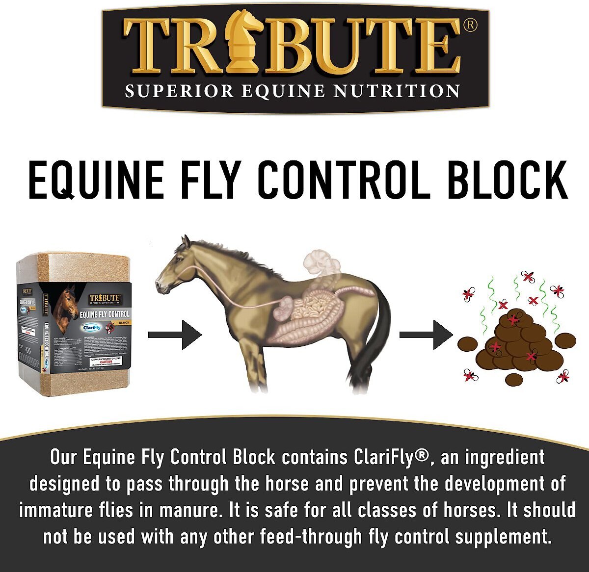 Tribute Equine Nutrition Equine Fly Control Block Horse Supplement， 33-lb block