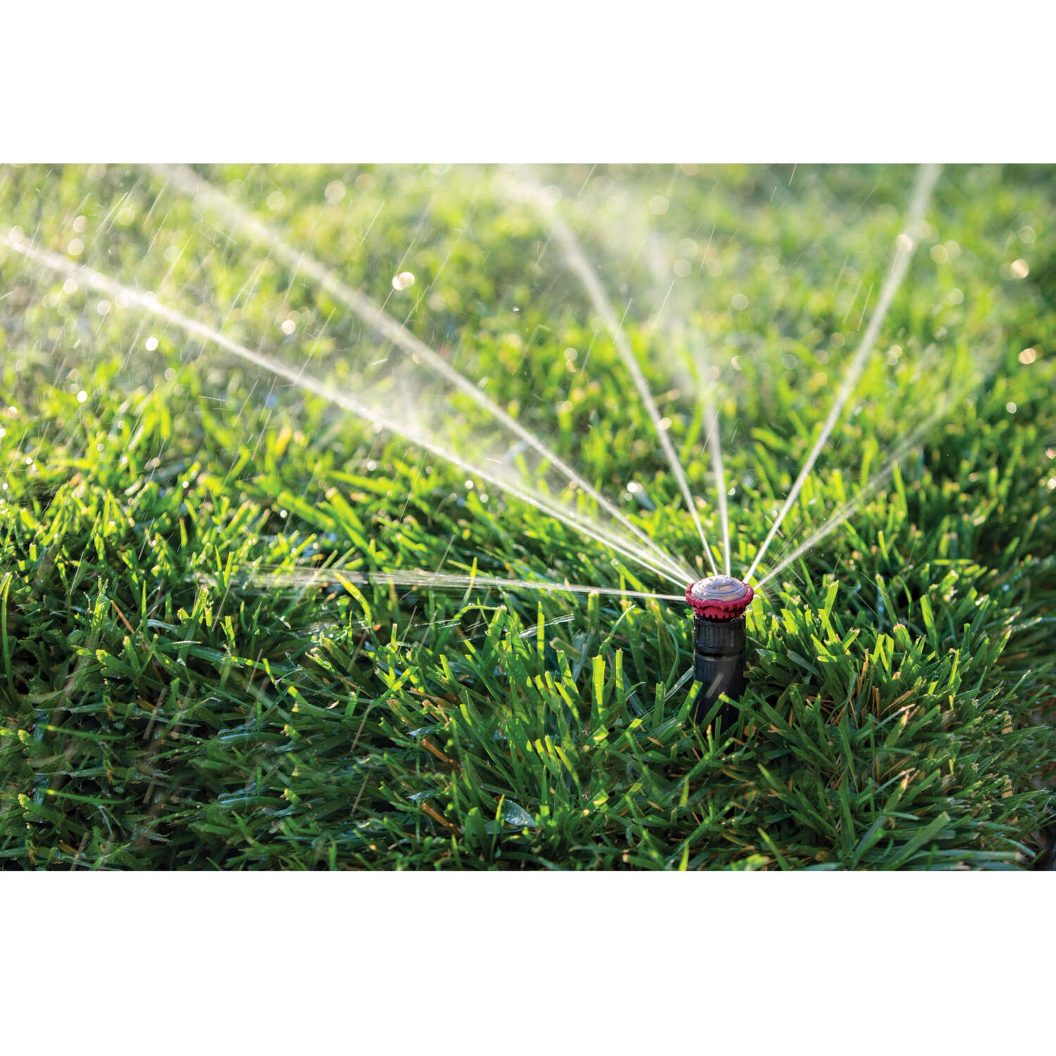 Rain Bird 4 in. H Full-Circle Rotor Pop-Up Sprinkler