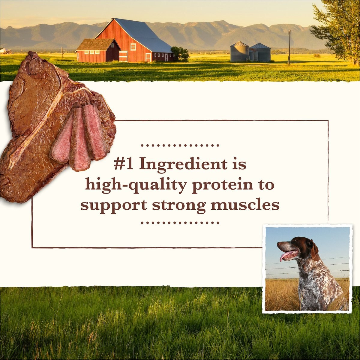 Whole Earth Farms Grain-Free Pork， Beef and Lamb Recipe Dry Dog Food