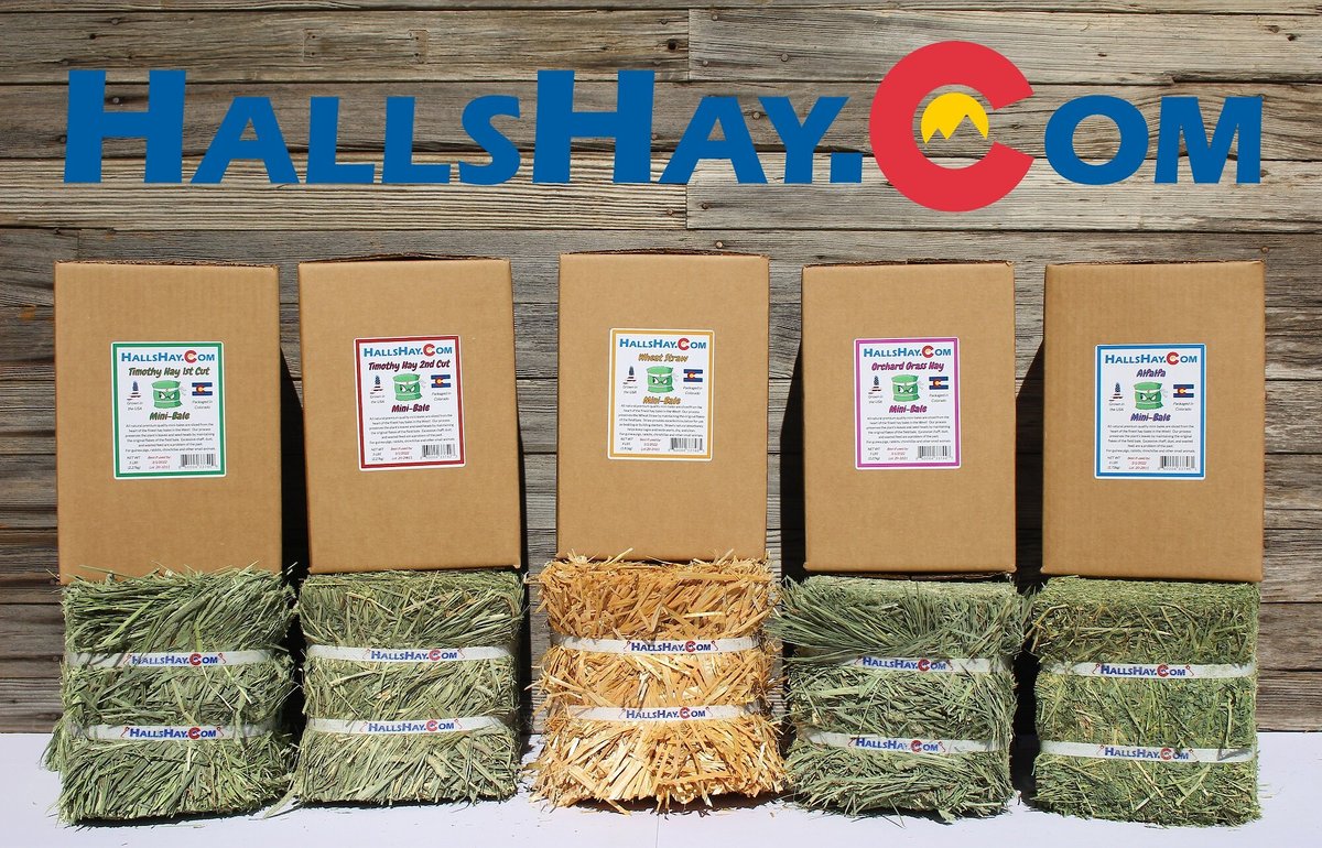 Hall's Hay Wheat Straw Mini-Bale Small Pet Bedding， 4-lb box