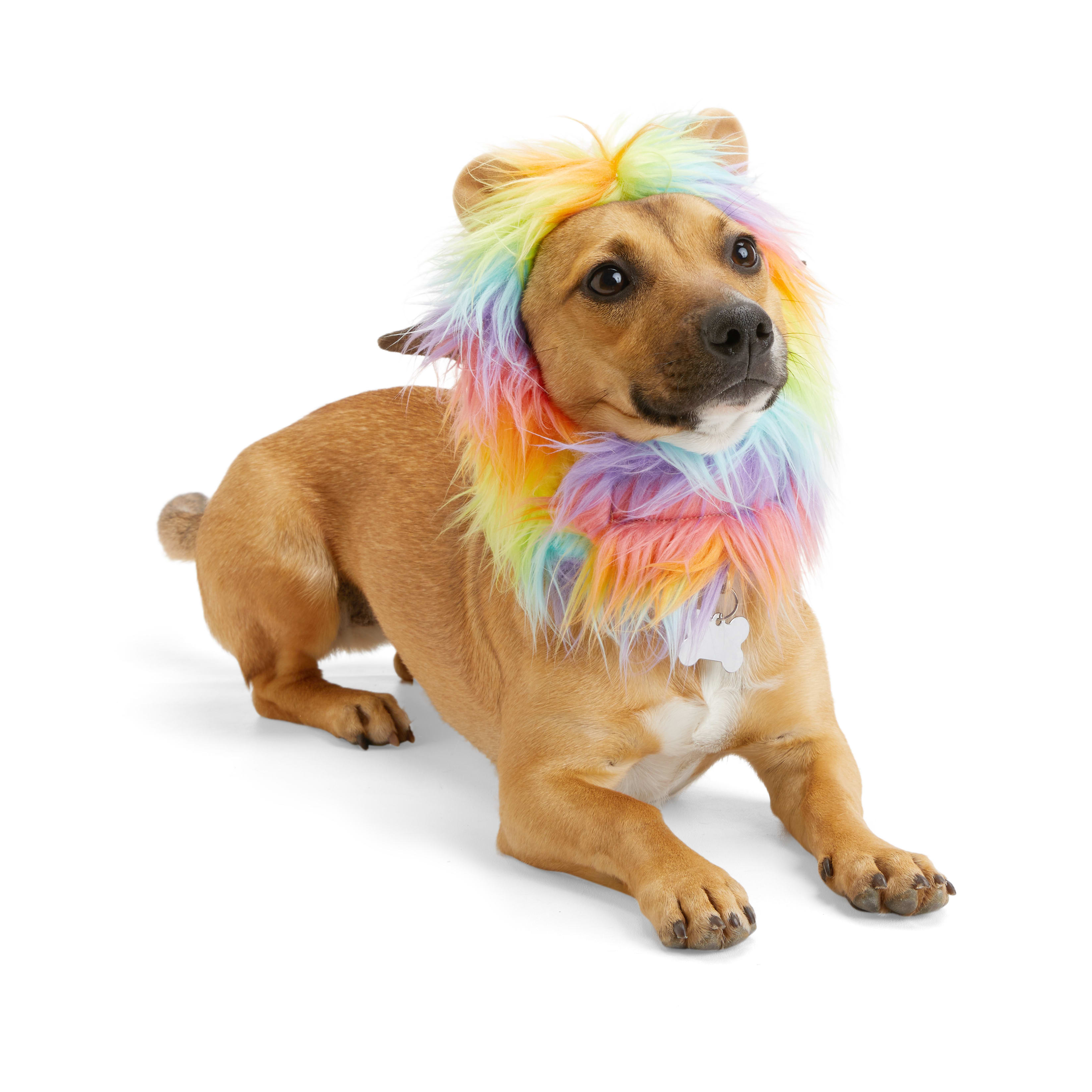 YOULY Pride Rainbow Lion Mane Dog Headpiece， X-Small/Small