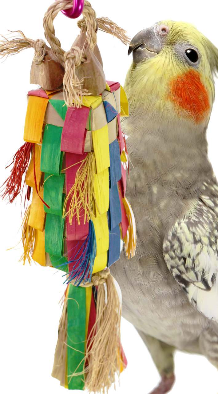 Bonka Bird Toys 03356 Small Straight Pinata Bird Toy.