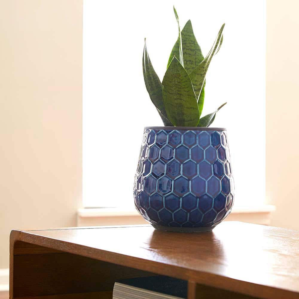 Southern Patio Honeycomb Medium 8 in. Dia 5 qt. Cobalt Blue Ceramic Indoor Pot (2-Pack) CRM-047087P2