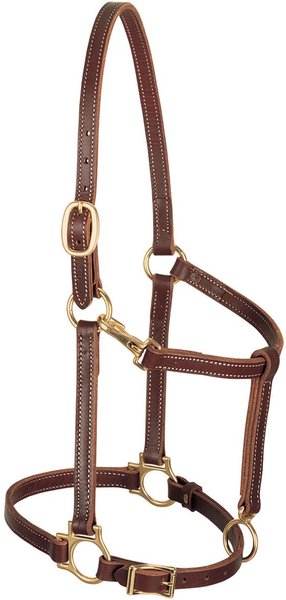 Weaver Leather Track Horse Halter， Mahogany