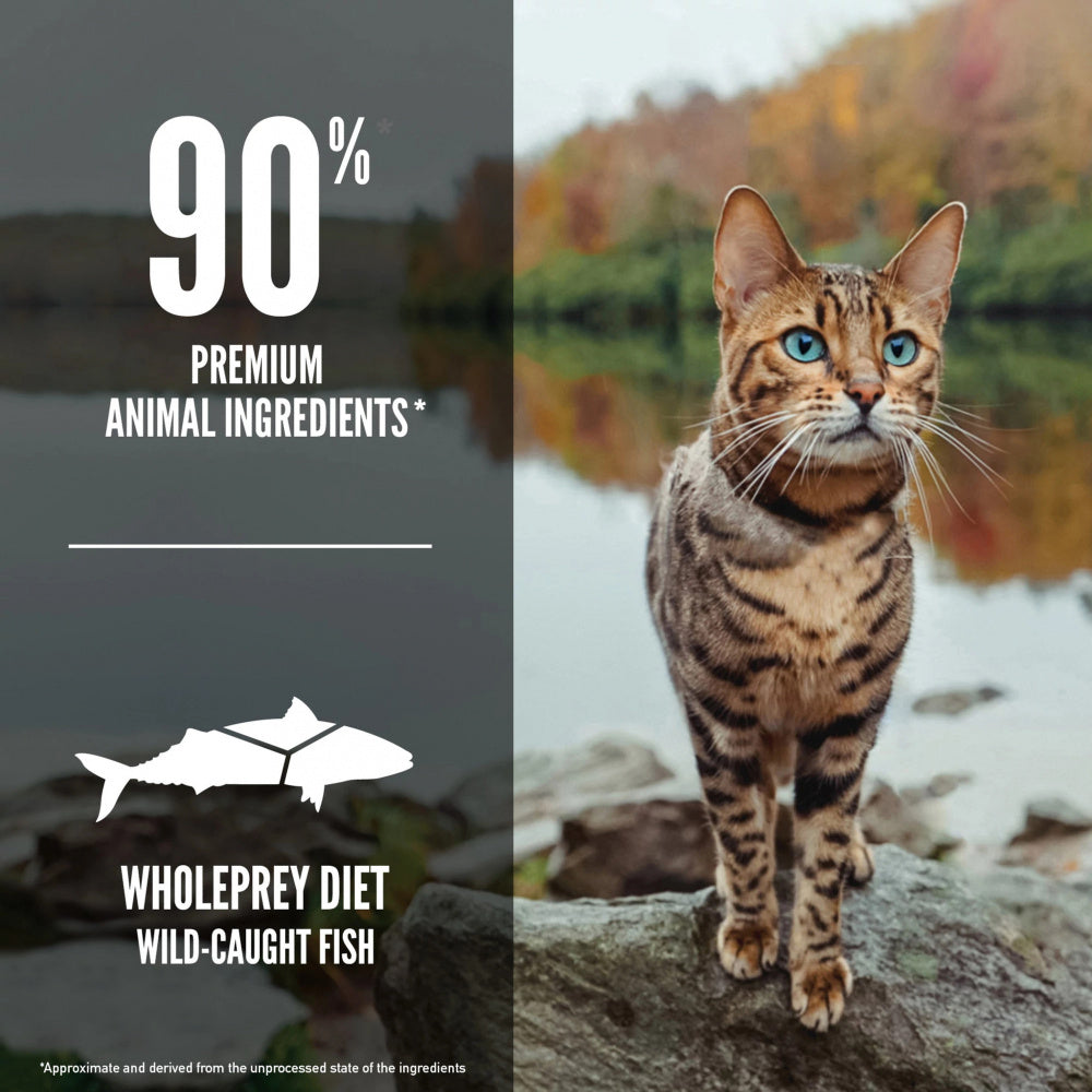 Grain Free Six Fish Dry Cat Food;