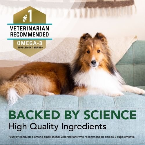 Nutramax Welactin Omega-3 Fish Oil Liquid Softgels Skin and Coat Supplement for Dogs