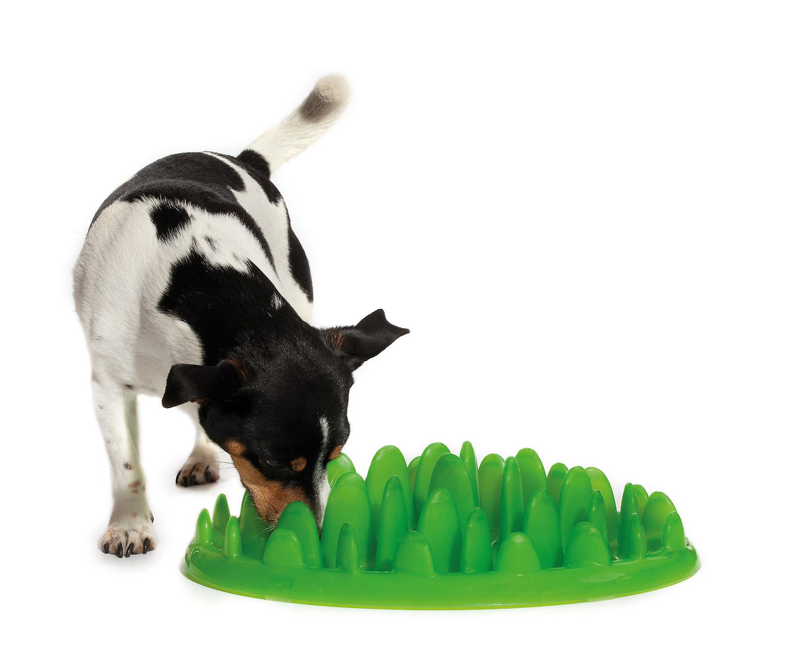 Company of Animals Green Slow Dog Feeder， Stop Your Dog Eating So Quickly L Size