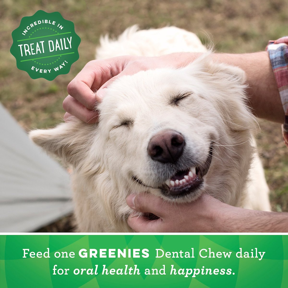 Greenies Fresh Teenie Dental Dog Treats