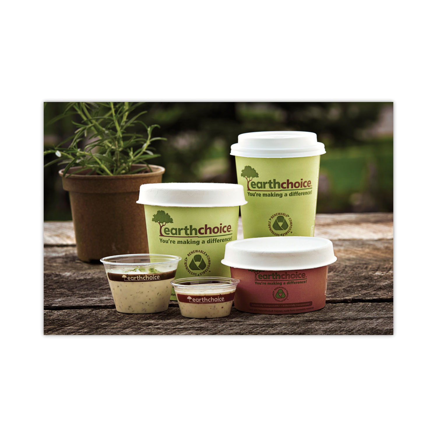 EarthChoice Compostable Paper Cup by Pactiv PCTDPHC16EC