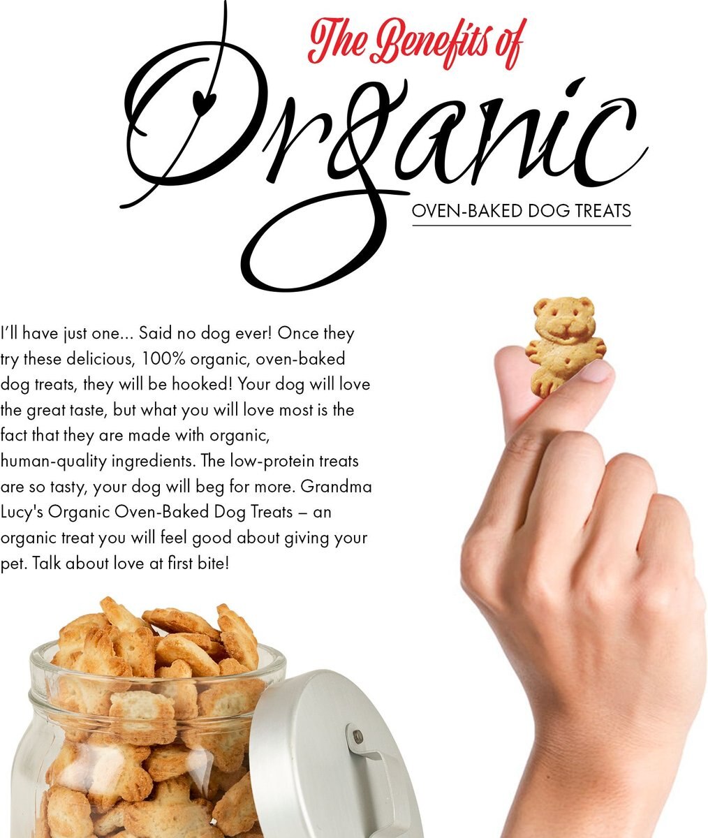 Grandma Lucy's Organic Lemon Honey Oven Baked Dog Treats