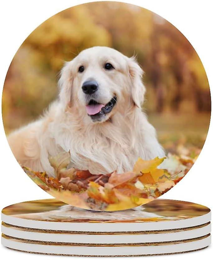 6pcs Round Golden Retriever Laying On Autumn Leafs Ceramic Coasters With Cork-backed For Coffee Drink Cup Mat Absorbent Stone Coasters