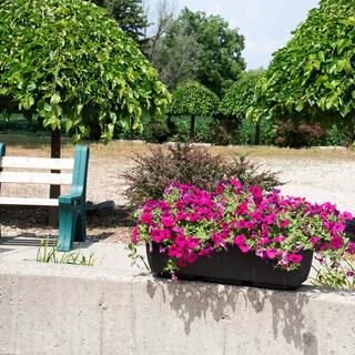 RTS Home Accents 36 in. x 15 in. IndoorOutdoor Black Polyethylene Rectangular Planter 56030001008081