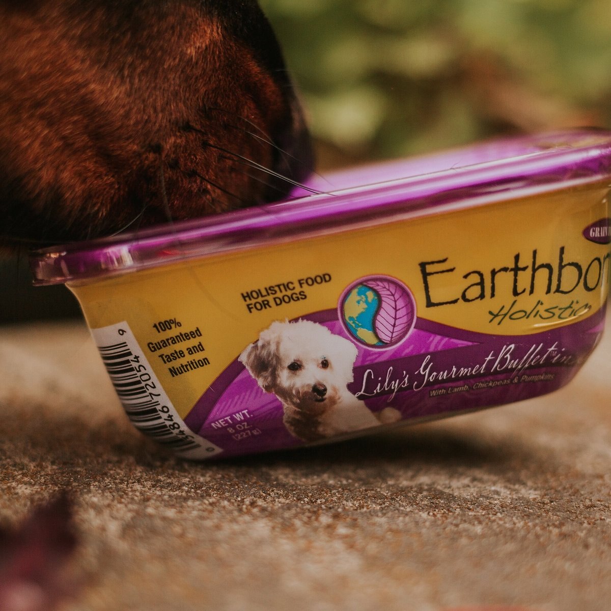 Earthborn Holistic Lily's Gourmet Buffet Grain-Free Natural Moist Dog Food