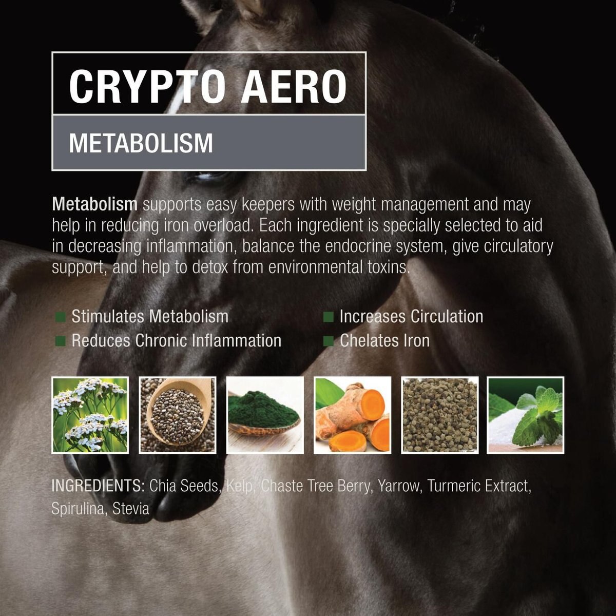 Crypto Aero Metabolism Powder Horse Supplement