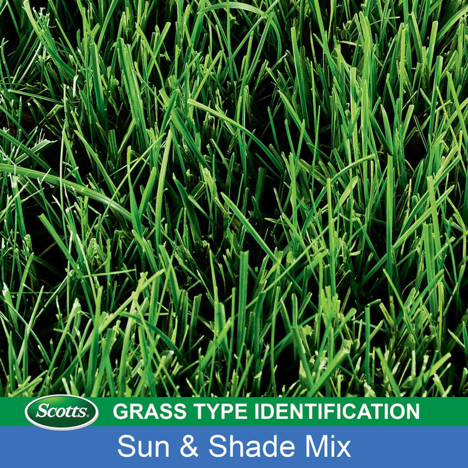 Scotts Turf Builder Mixed Sun or Shade Grass Seed 20 lb