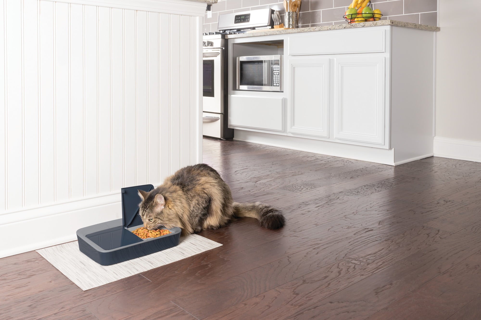 PetSafe Digital 2 Meal Programmable Pet Feeder， Automatic Dog and Cat Feeder - Dry or Semi-Moist Pet Food Dispenser， Slow Feed Portion Control (3 Cup/16 Ounce)， Tamper-Resistant， Dishwasher Safe