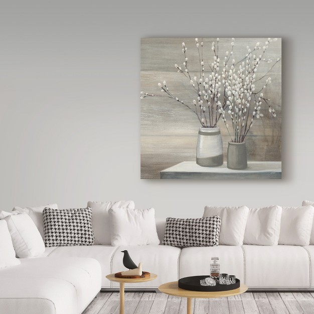 Trademark Fine Art julia Purinton x27 pussy Willow Still Life Gray Pots Crop x27 Canvas Art