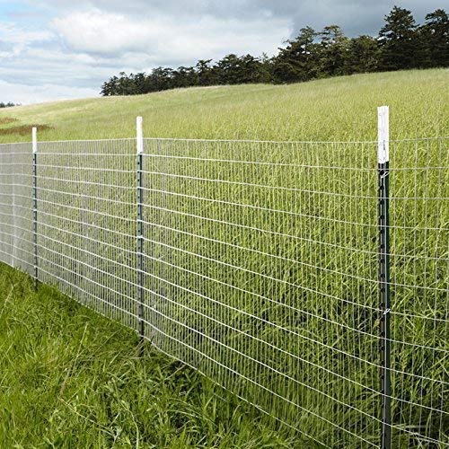 Fencer Wire 14 Gauge Galvanized Welded Wire Mesh Size 2 inch by 4 inch (4 ft. x 50 ft.)