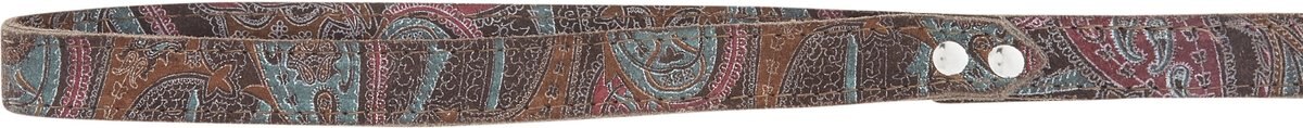 OmniPet Paisley Leather Dog Leash