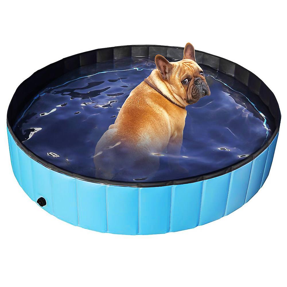 1 X Pet Pool Blue 80x20cm