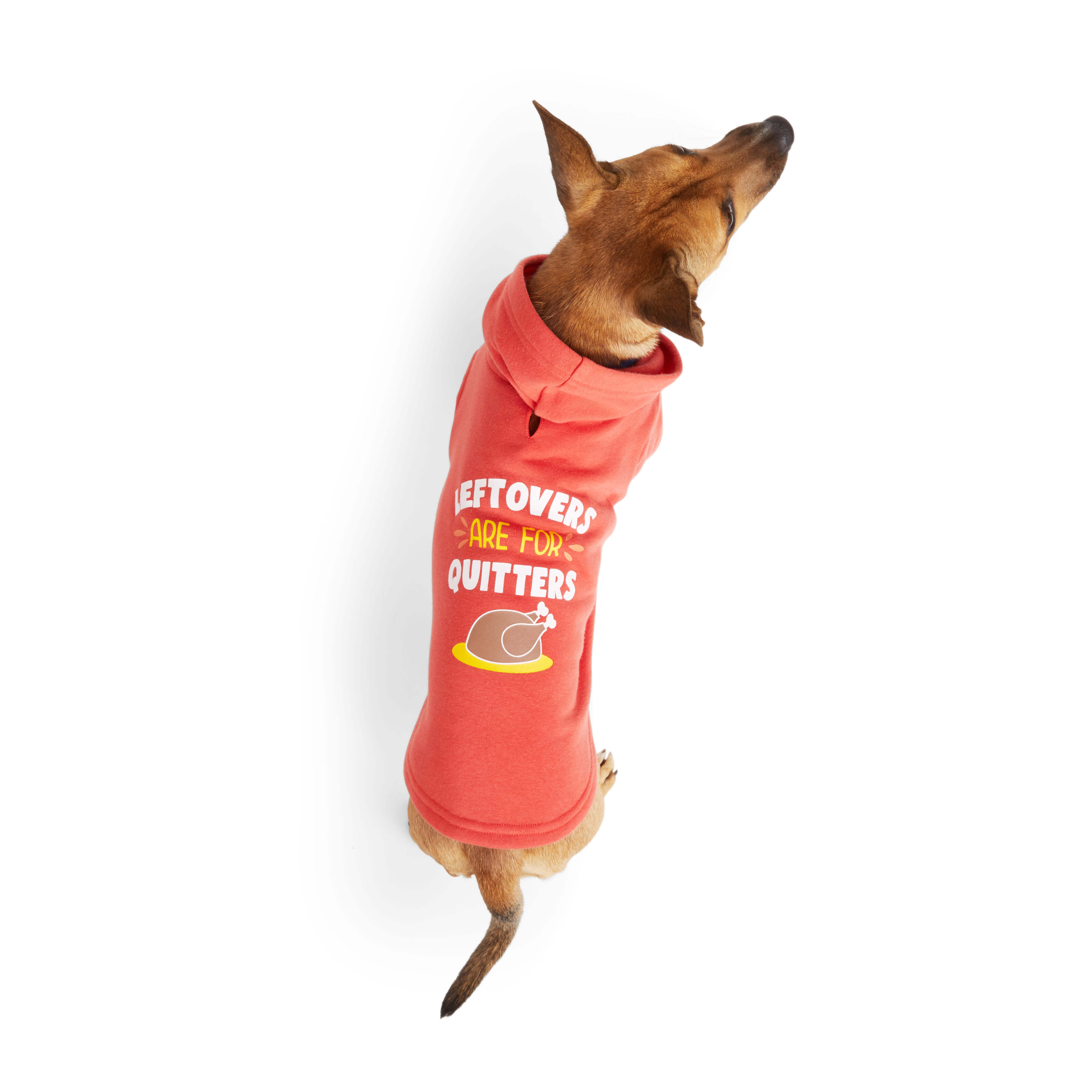 YOULY Leftovers Dog Hoodie， X-Small