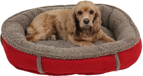 Carolina Pet Comfy Cup Memory Foam Bolster Dog Bed w/Removable Cover