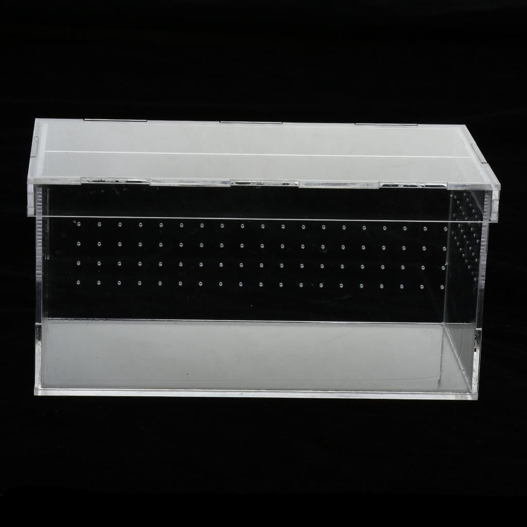 Acrylic Reptile Feeding Tank for Spiders Breeding Box