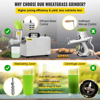 VEVOR Commercial Wheatgrass Juicing Machine 80% Juice Yield Stainless Steel Portable Cold Press with 100-Watt 75RPM Motor DDDGN370W110VR4S7V1