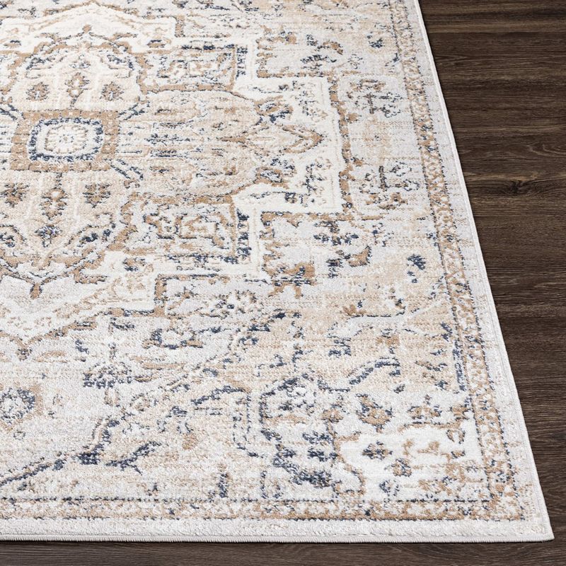 Barlage Traditional Area Rug