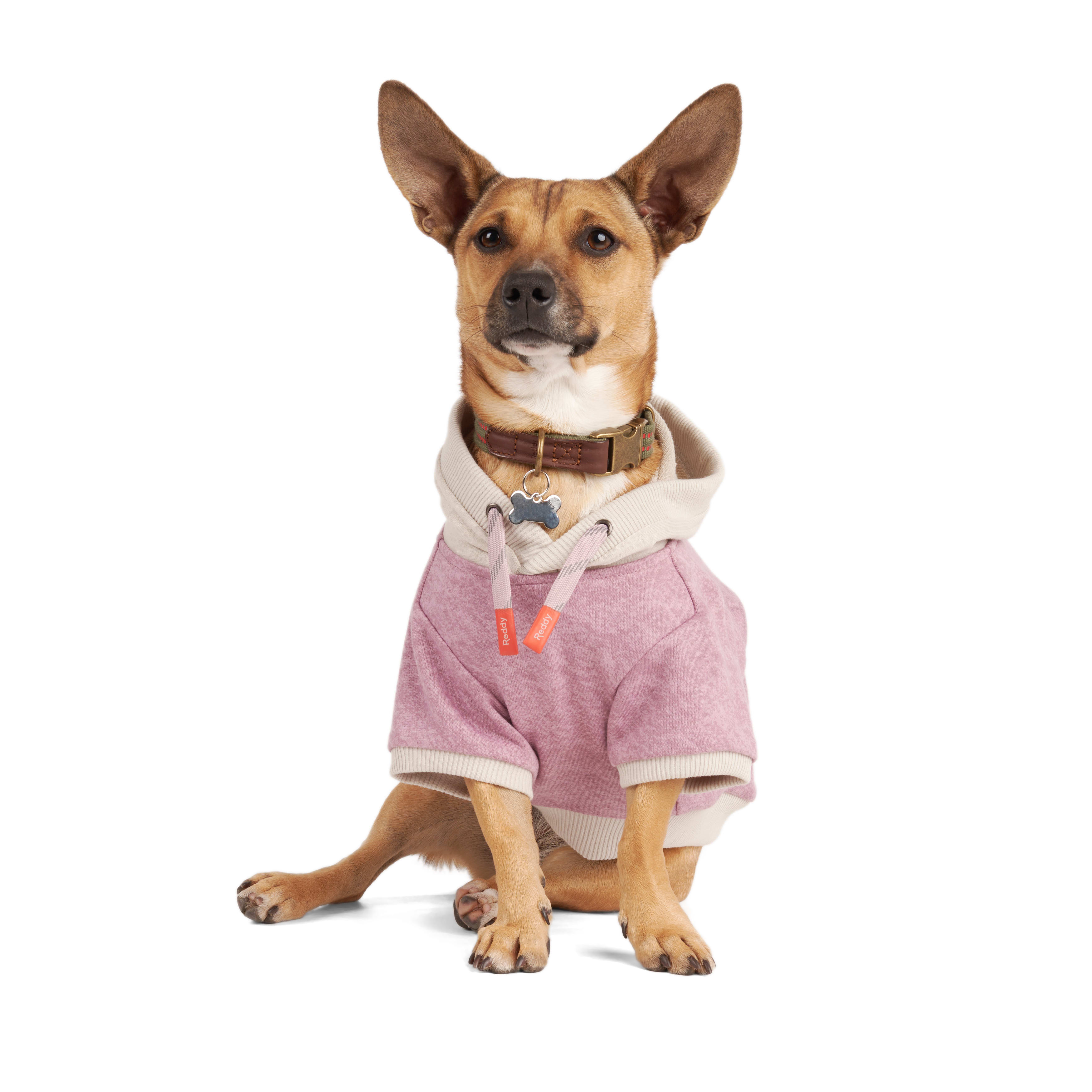 Reddy Mauve and Grey Washed Dog Hoodie， X-Small