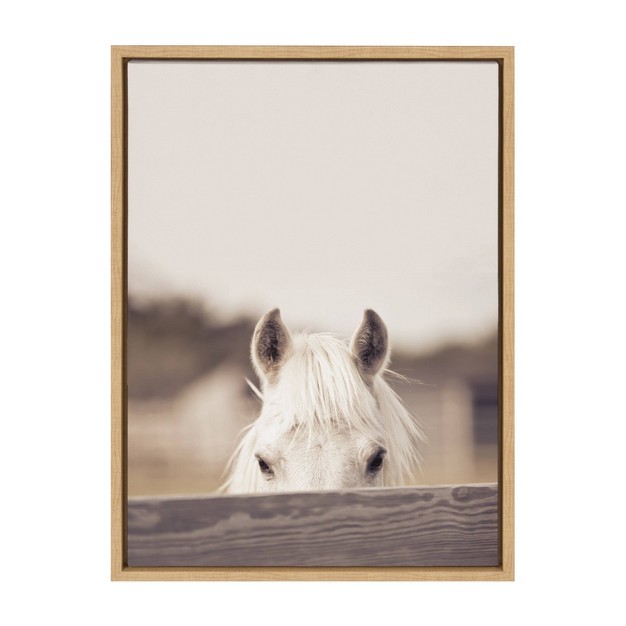 X 24 quot Sylvie Equine By Robert Cadloff Of Bomobob Framed Wall Canvas Natural Kate amp Laurel All Things Decor