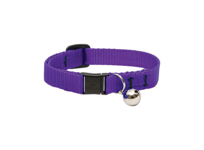 CAT COLLAR 8-12