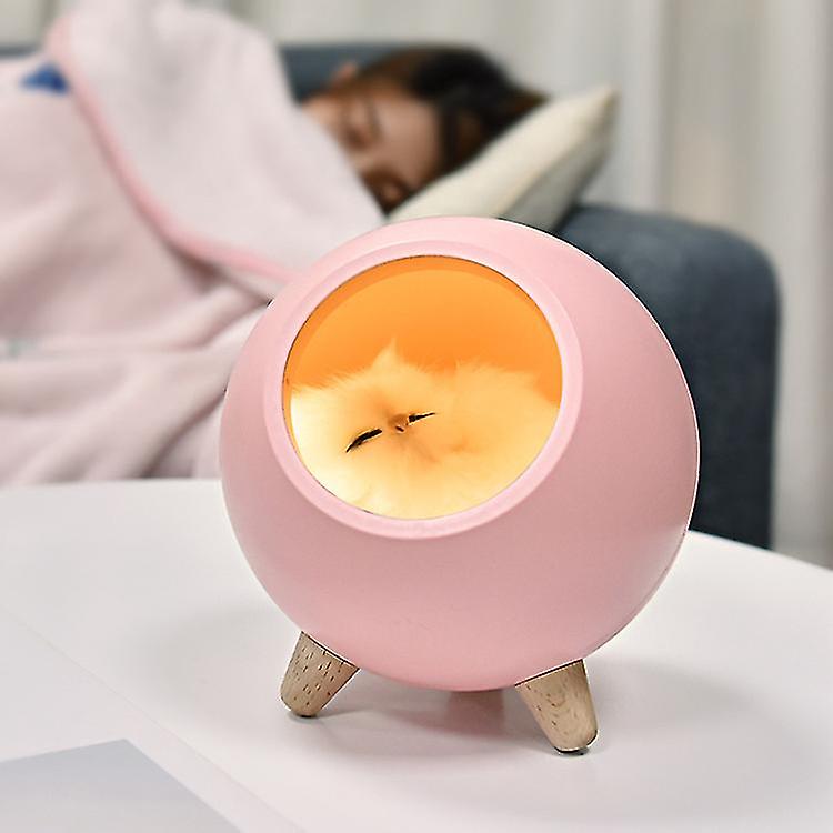 Dww-cute Small Night Light Small Pet House Atmospheres Light Usb Charging Girl Dormitory Bedroom(pink)